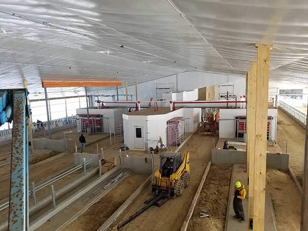 building pens for dairy barn