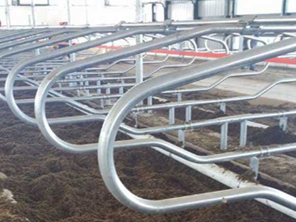 cattle stall bars