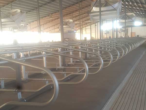 cattle stall bars