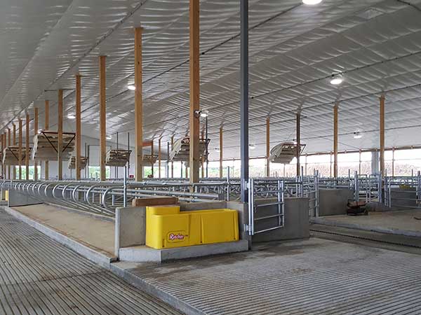 cattle waterer