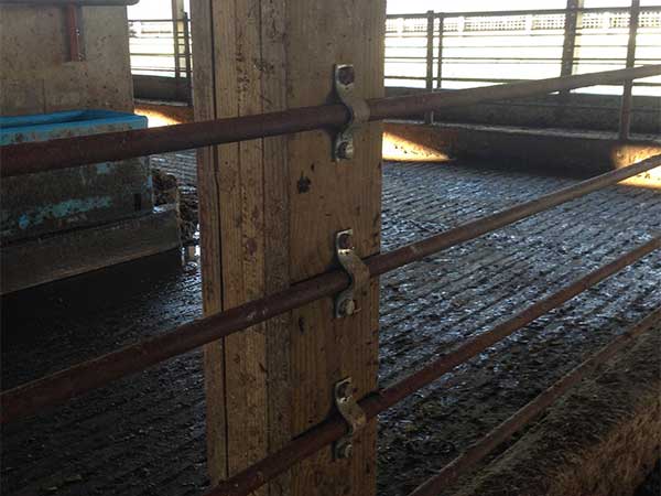 metal cattle pen rails